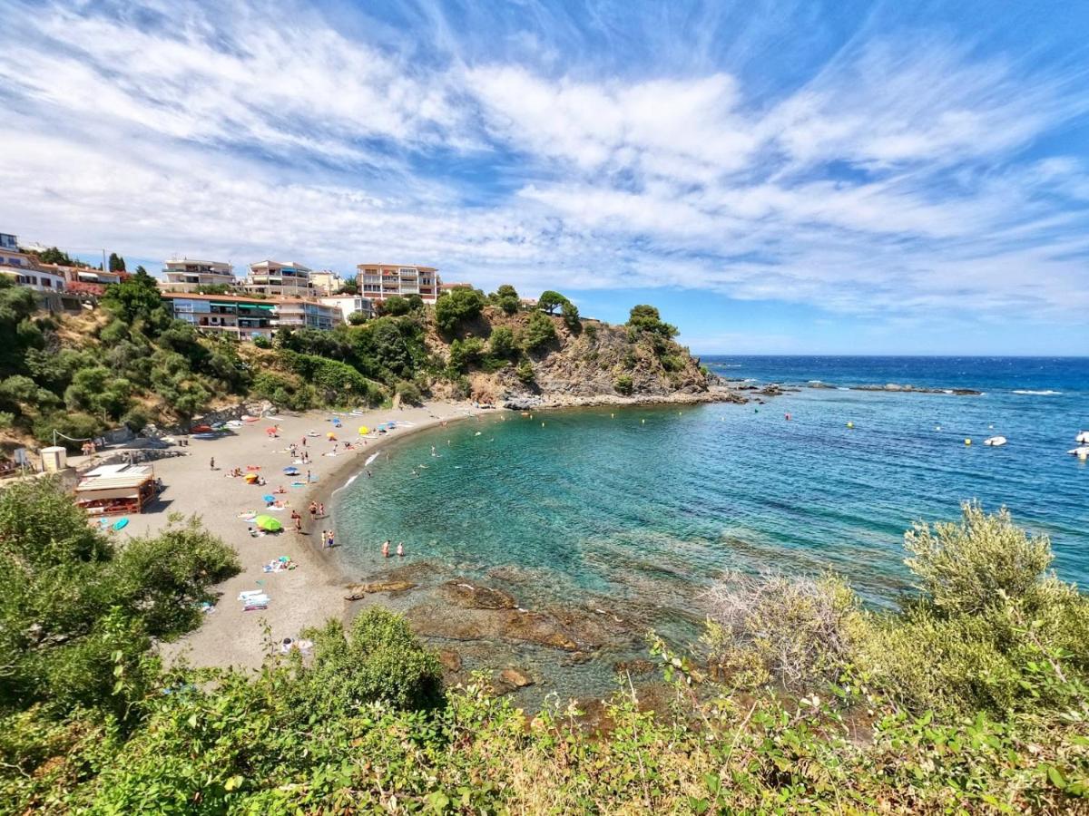 Apartamento Deluxe Cau Del Llop Llanca Bagian luar foto